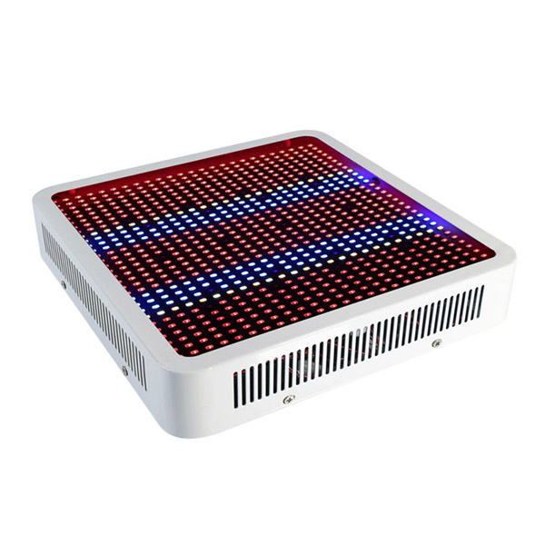 1pcs High Power Full Spectrum 800W Double chips Led grow light aquarium led lighting Hydroponic Systems Indoor grow Box